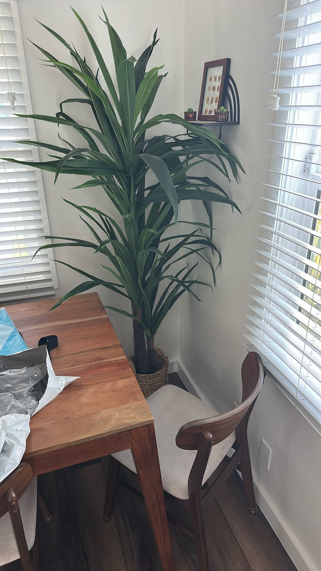 Fake Plant