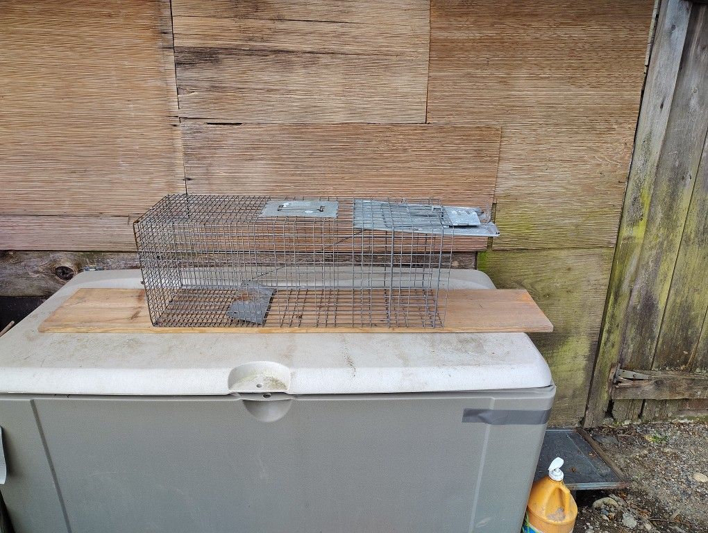Pet Trap For Coon Size