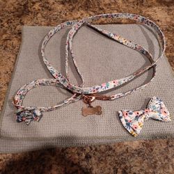 Dog Collar and Leash Set-Medium