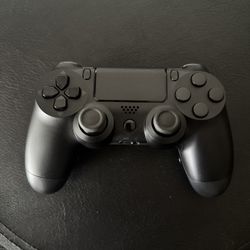 Custom Blacked Out Battle Beaver PS4 Controller