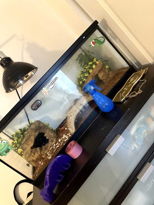 Larg Glass Tank Aquarium All U See An Leopard Lizard 99 Firm WE Have Alot Extras For It 25 Firm