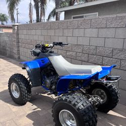 89 yamaha warrior 