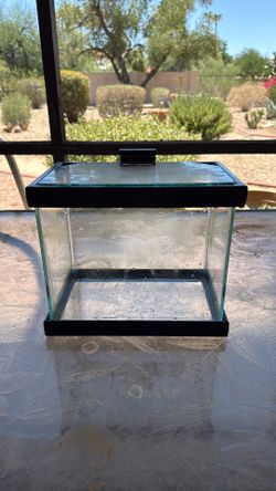 1 Gallon aquarium