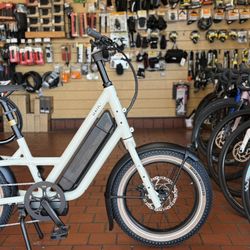 Specialized Electric Bike 