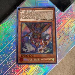 brotherhood of the fire fist panda Yu Gi Oh