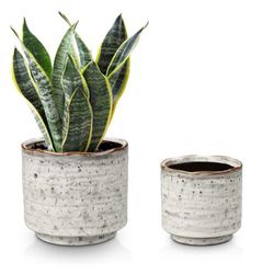Set of 2 Ceramic Flower Pots