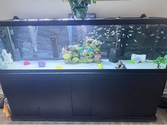 Aquarium decor
