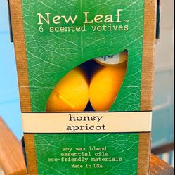 Brand New Tea Lights. Natural