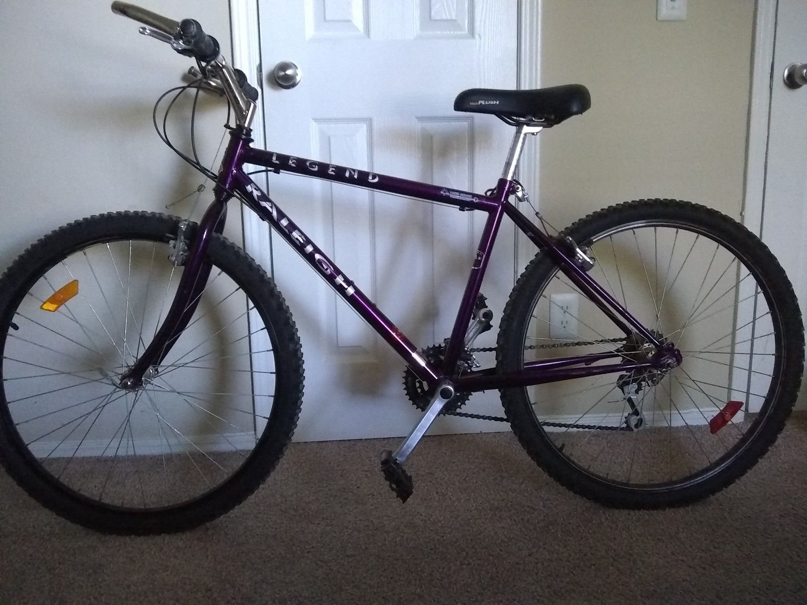 Raleigh 21 speed Speed adult Mountain Bike