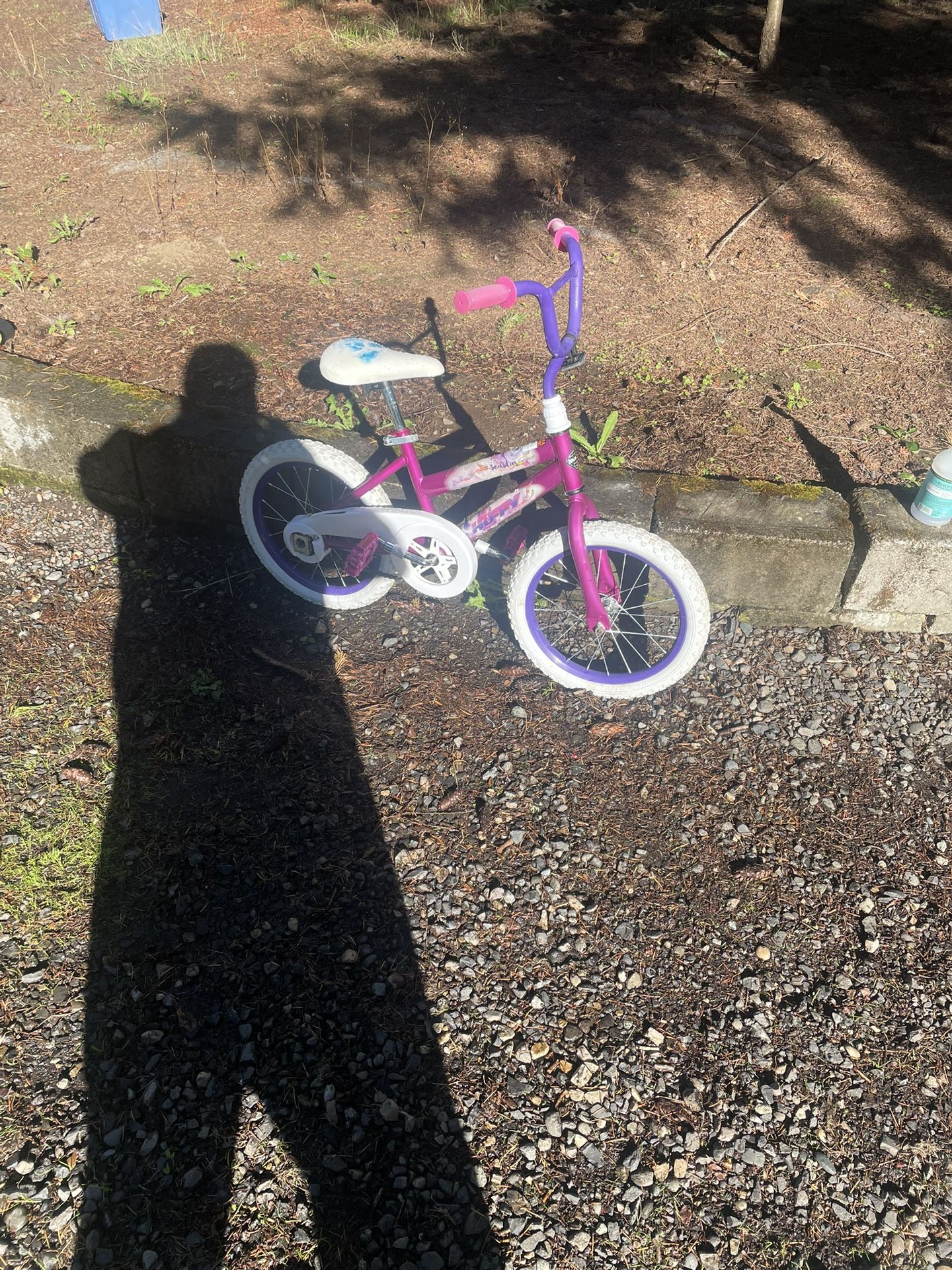 16” Girl Bike $40