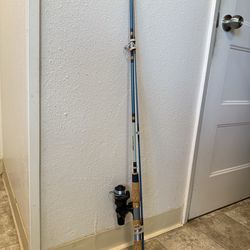 Spinning rod and reel