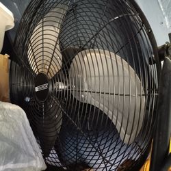 Fan 