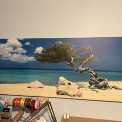 Ikea Hanging Canvas Print - 'Divi Divi Tree, Aruba' by Tom Mackie - 55" x 22"
