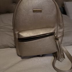 Aldo Golden Backpack 