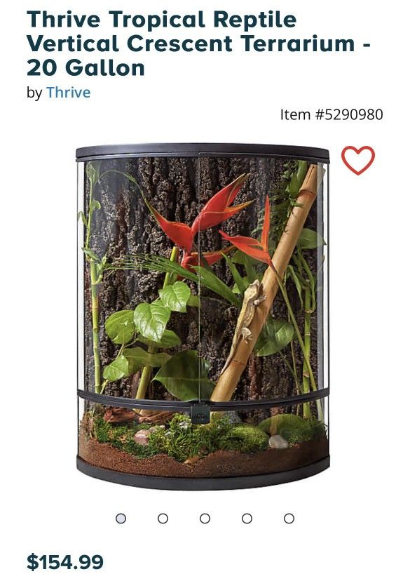 Crescent Shaped 20 Gallon Terrarium