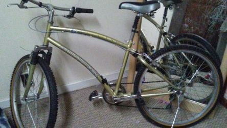 Luna comfort tek bike price hotsell