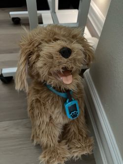Moji interactive dog