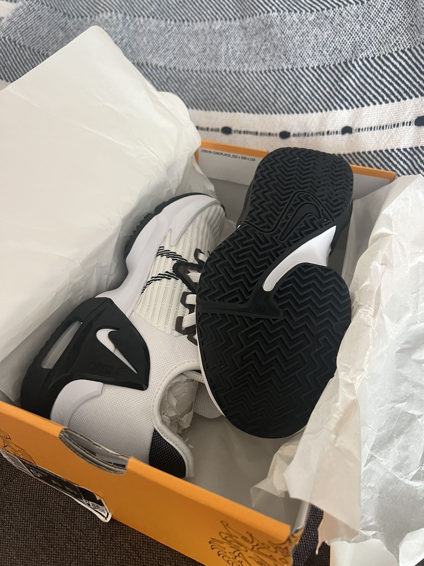 LeBron Sleek Nike shoes.