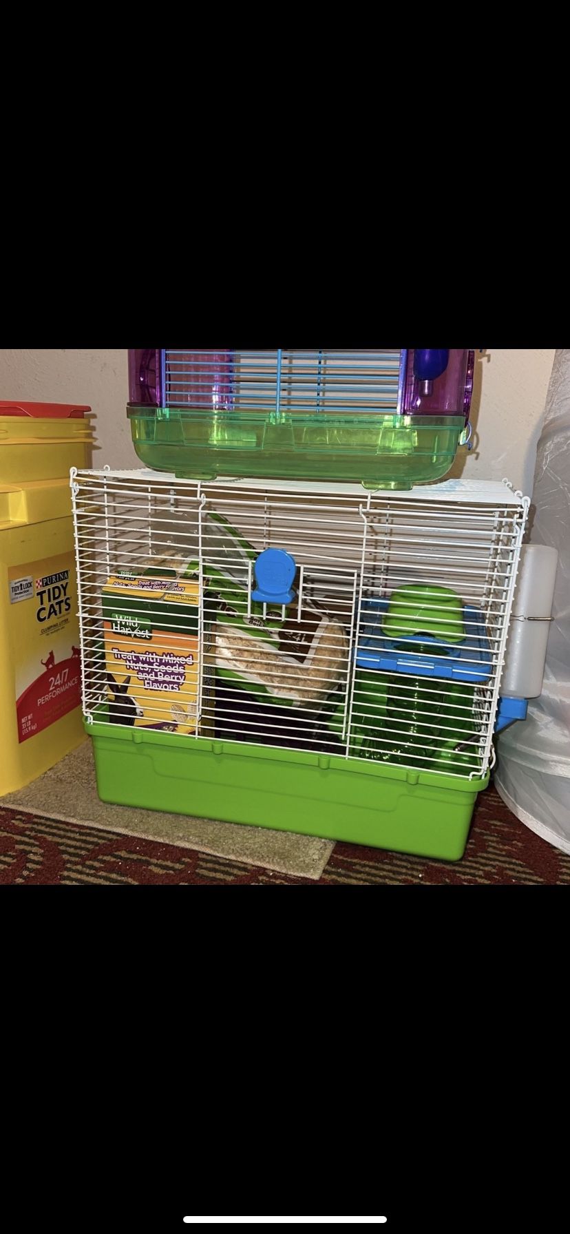 Hamster Cage And Other Supplies 