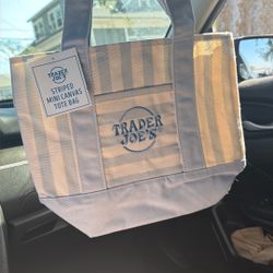 trader joes stiped mini canvas tote bag