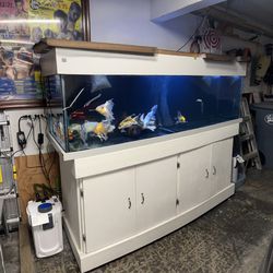 Aquarium/Fish Tank
