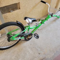 Copilot Trailer Bike 