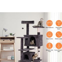 Cat Hause