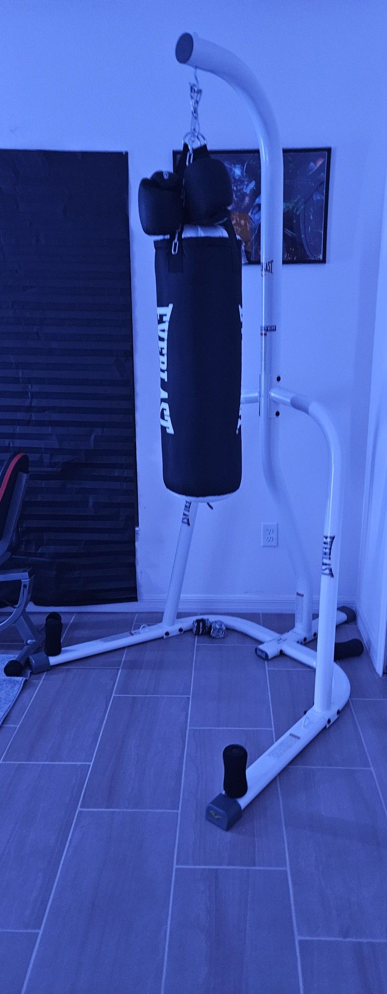 Everlast Punching Bag With Stand
