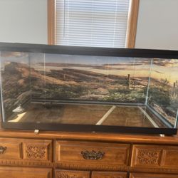 Ultimate Amphibian Lizard Setup Used But Clean