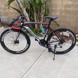 Euro Rode Bike
