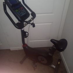 Schwinn Workout Bike 