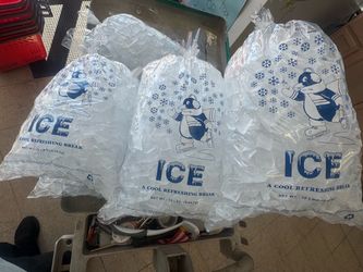 10 LB ICE BAGS