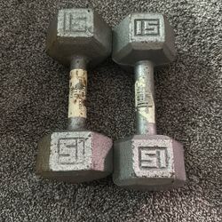 15lb Dumbbells