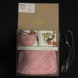 Pink Coach Bag Set