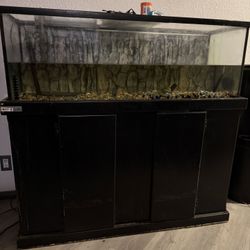 55 Gallon Fish Tank And Stand