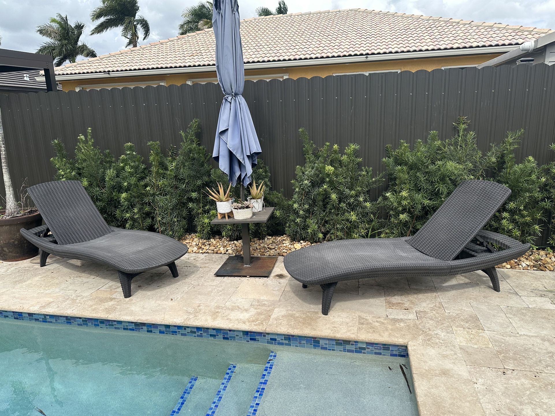 Pool Lounge Chairs