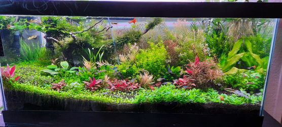 AQUARIUM LIGHT