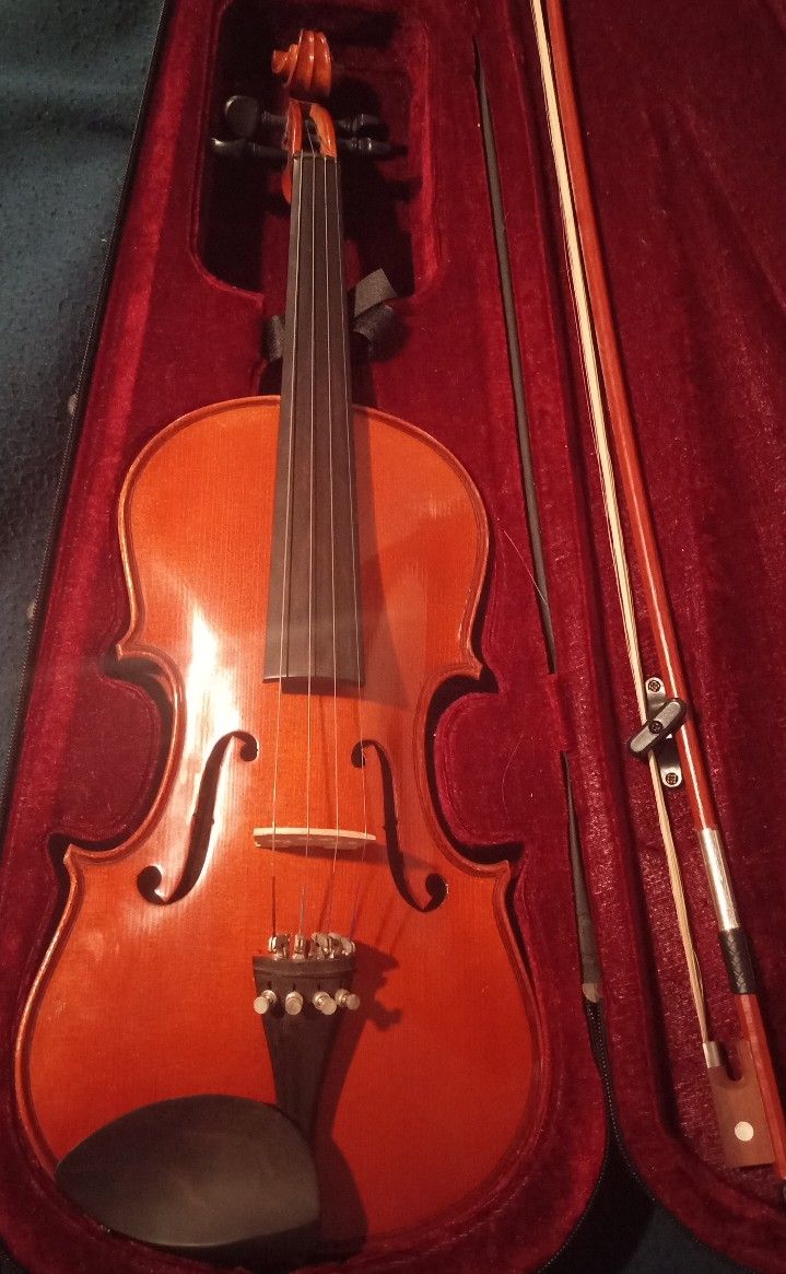 Violin