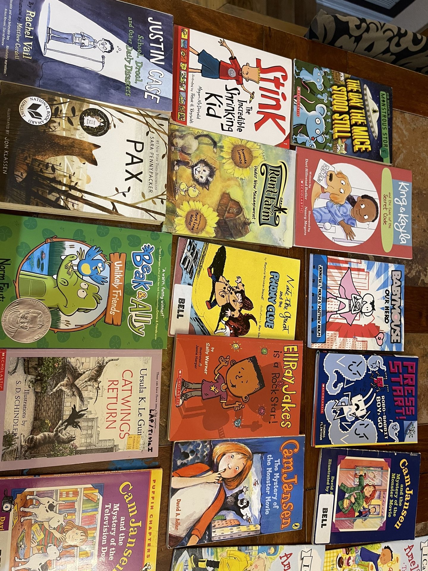 Children’s Chapter Books And Early Reader Books