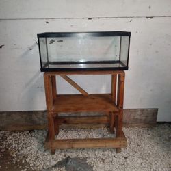 Lizard  Tank