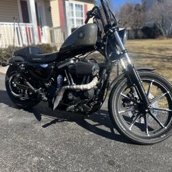 2019 Harley Davidson Iron 883 XL