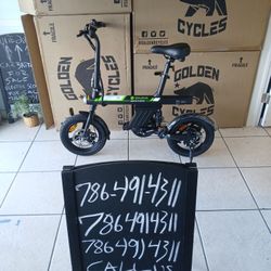 Isinwheel U1 Electric Bike 