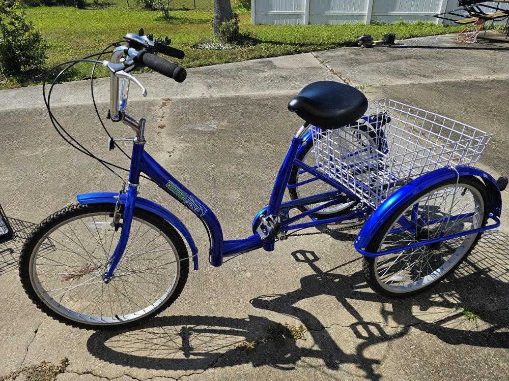 Adult Tricycle