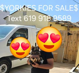 For sale