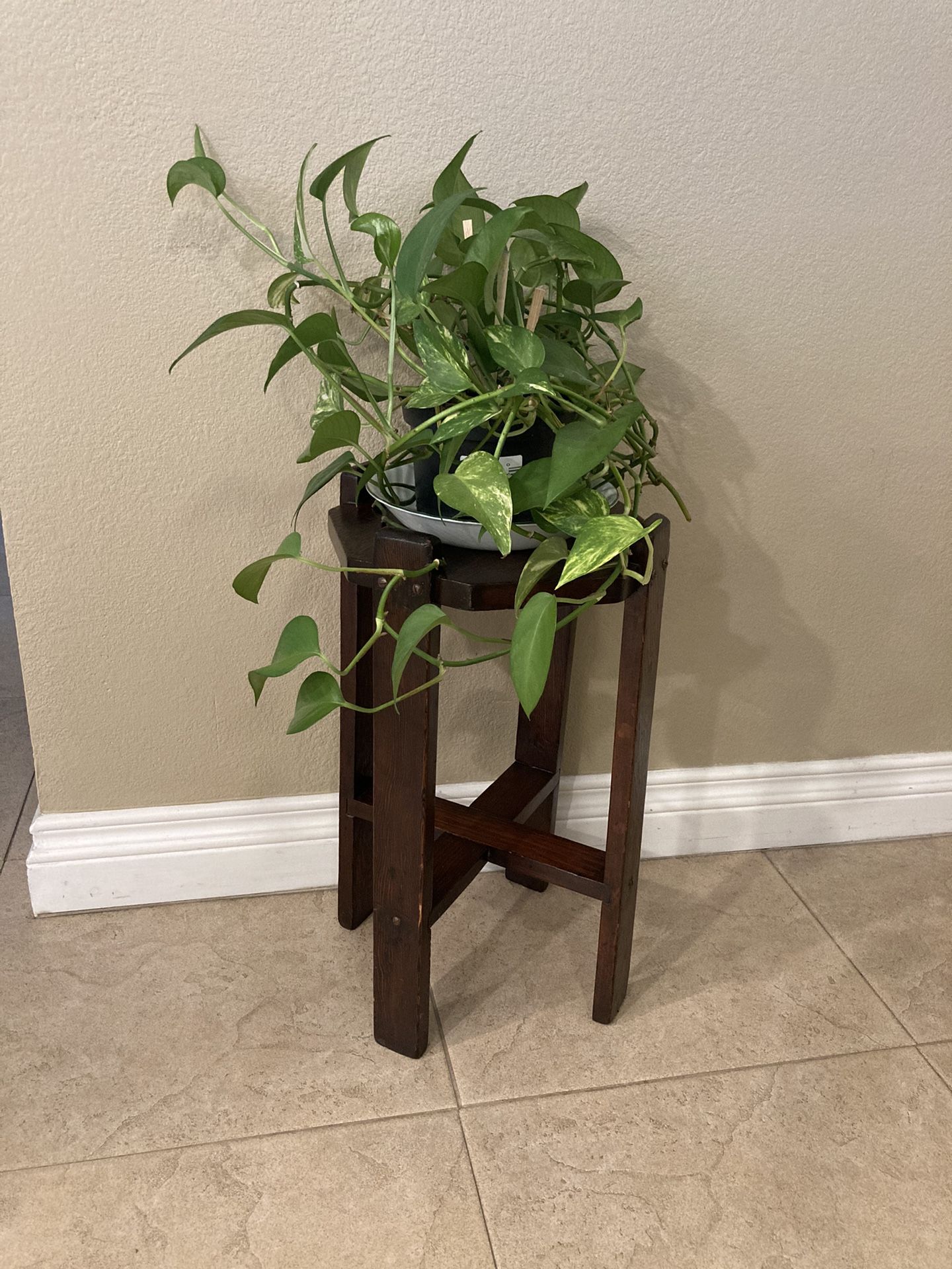 MCM Plant Stand
