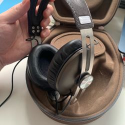 Sennheiser Momentum Headphones
