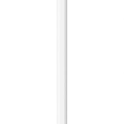 New! Apple Pencil  (  USB-C  ) White 