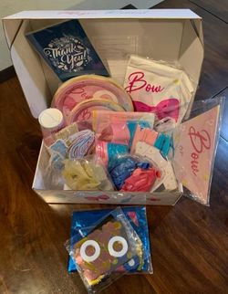 Boy or Girl?? Baby Gender Reveal Party Kit for 24 Guests!!