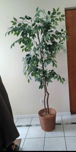 72" Artificial Ficua Tree Plant  in Wicker Basket Decor-New