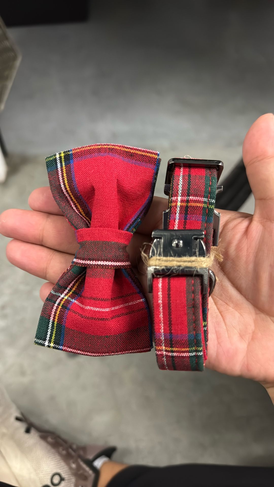 Christmas Dog Collar – Brand New, Never Used